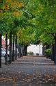 DSC_2757 (FILEminimizer)